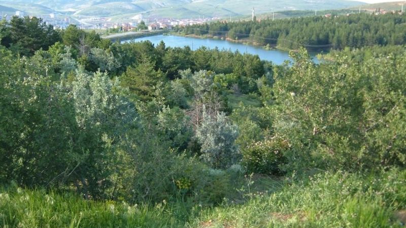 Yozgat'ın Gözbebeği Çamlık'ta Önlemler Artırıldı