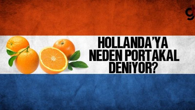 Hollanda'ya Neden Portakal Deniyor?