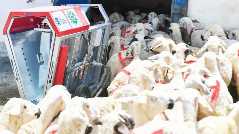 Belediye'den hayvan üreticisine destek... Makine desteği veriyor