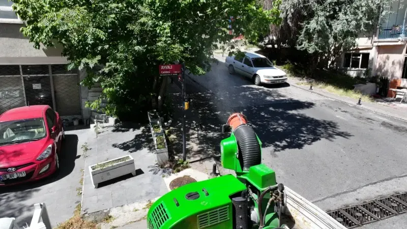 Belediye seferberlik başlattı! Kökünü kazıyacak