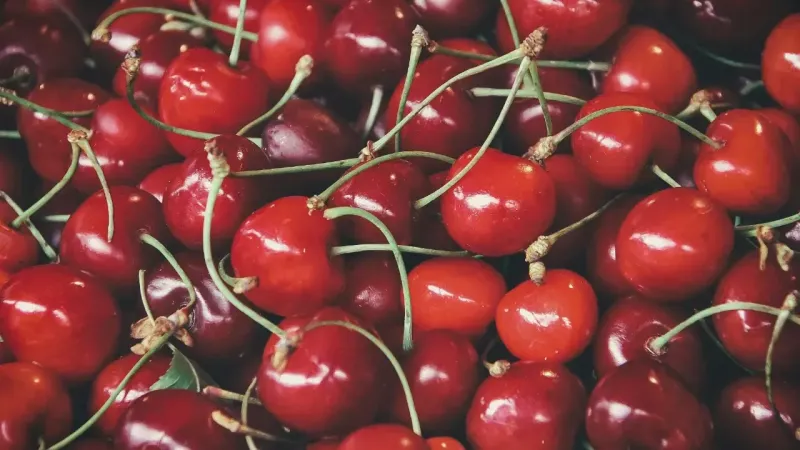 Kiraz Çekirdeği Zehirli mi? İşte Faydaları ve Zararları