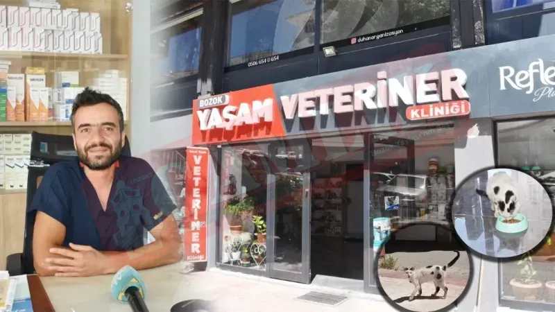 Yozgat’ta Veteriner Zararsız’dan Sıcak Hava Uyarısı! Patili Dostlar Unutulmamalı!