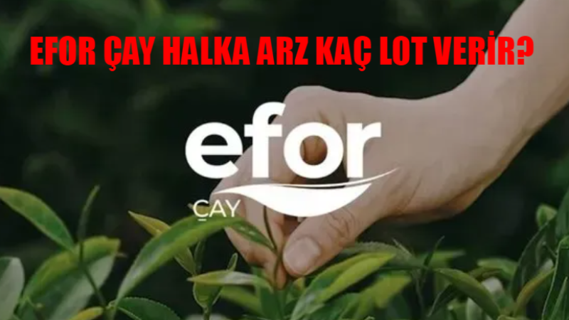 Efor Çay Katılım Endeksine Uygun Mu? Efor Çay Hangi Bankalarda Var?