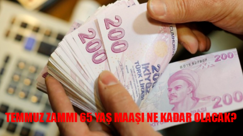Temmuz Zammı ile 65 Yaş Aylığı Ne Kadar Olacak? 2024'te Engelli ve Yaşlı Maaşları Ne Kadar Artacak?