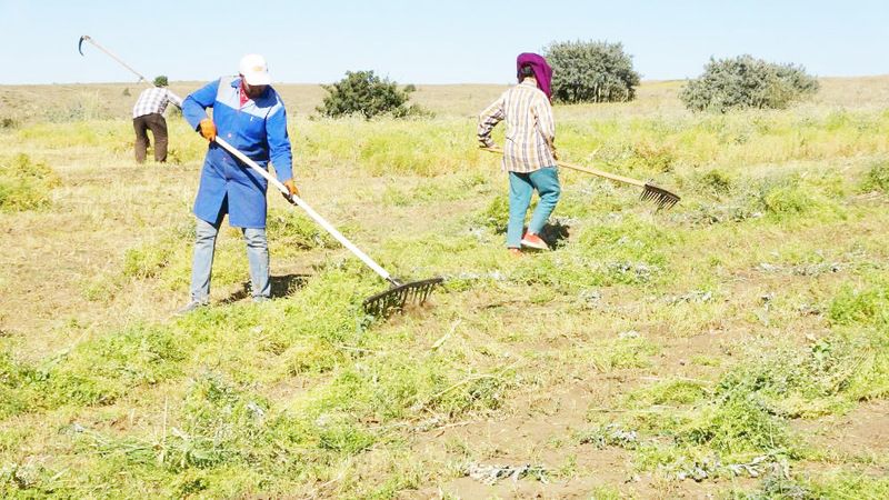 Yozgat’ta İşçilerin Zorlu Mesaisi Başladı! Ayda 45 Bin Lira… Sayıları İse Çok Az!