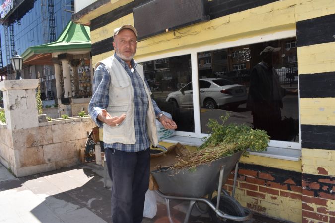 Yozgat'ta Yeşil Nohut Tezgahlardaki Yerini Aldı
