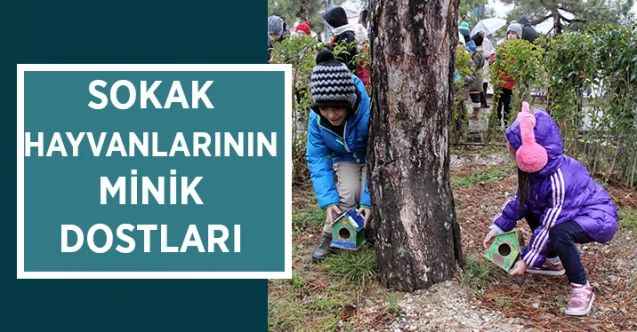Sokak hayvanlarının minik dostları