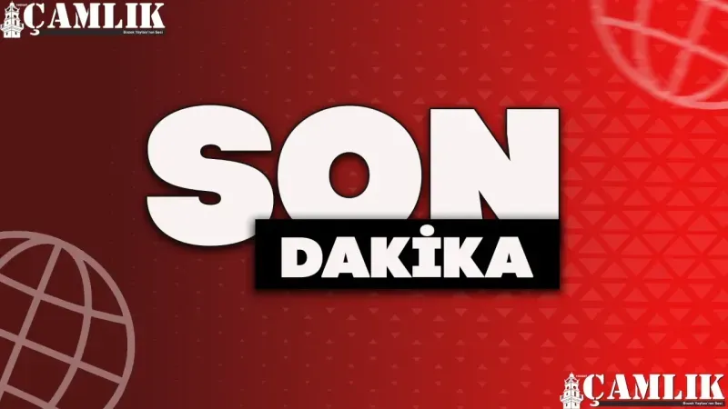 Merih Demiral'a Neden Soruşturma Açıldı? Son Dakika