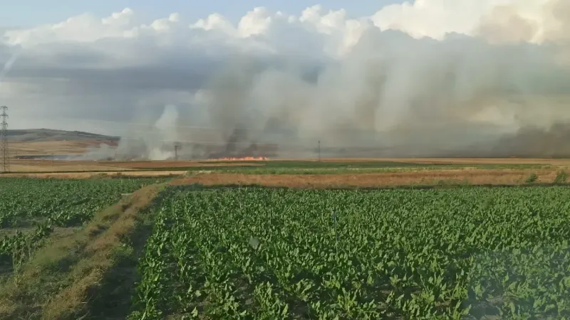 Yozgat'ta Bin Dönüm Arazi Kül Oldu