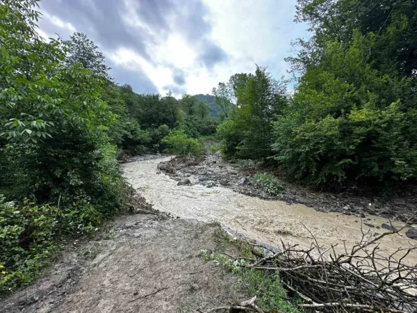 Ordu’nun dereleri taştı: metrekareye rekor yağış