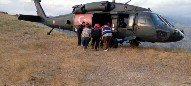 Çobanın hazin sonu: Kayalıklardan düştü...