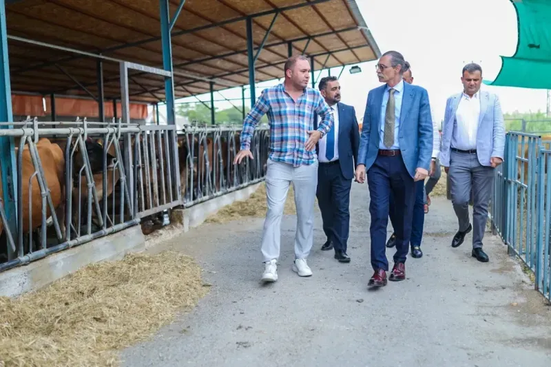 Hayvancılıkla ilgilenen yatırımcıya destek