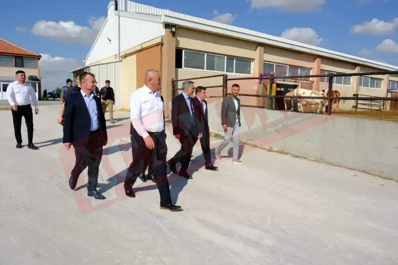 Yozgat'ta TKDK desteği ile kuruldu! Bu tesiste günlük 2,5 ton süt üretiliyor!