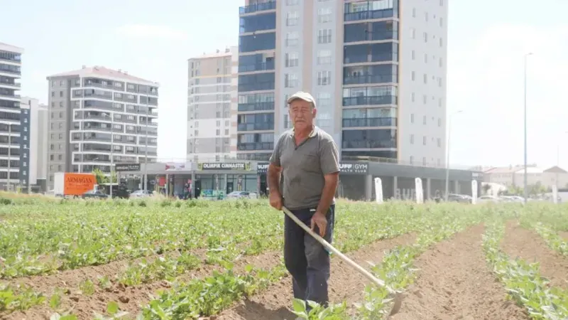 Apartmanlar Arasında Kalan Bir Çiftçi!