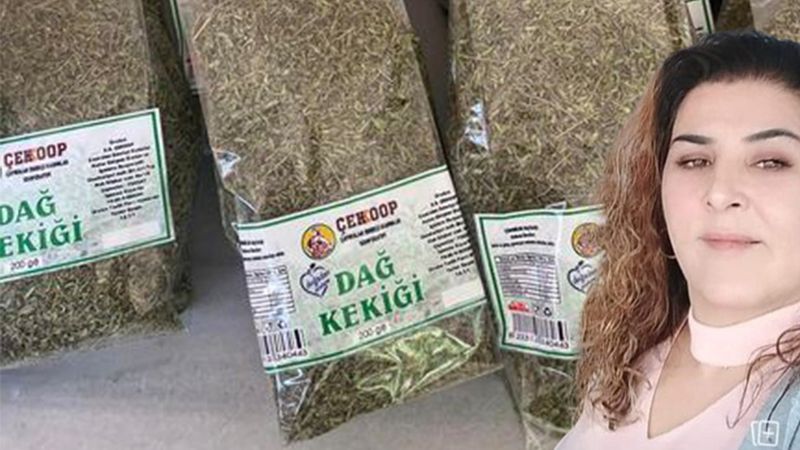 Yozgat'ın mis kokulu kekiği, ulusal platformda