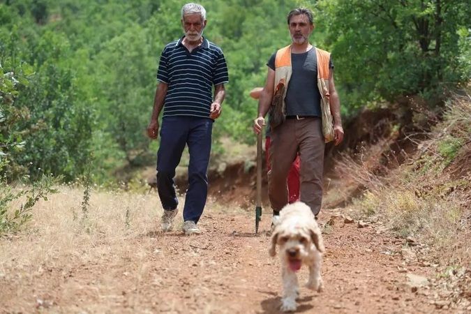 Yozgat'taki gizemli hazine için Türkiye'yi karı karı geziyorlar! Zengin olmak isteyenler için büyük fırsat!