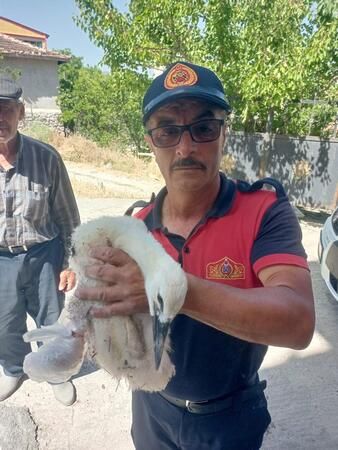 Komşunun yarasını İstanbul sardı: işte dünyaya insanlık dersi!