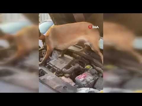 Polatlı'daki uyuşturucu operasyonunda pipo da var hassas terazi de