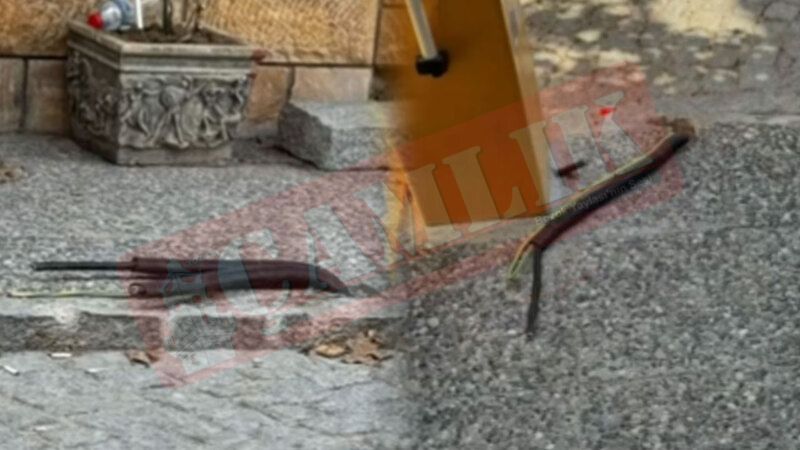 İzmir Alsancak'tan Sonra Yeni Foça'dan Şok Görüntüler