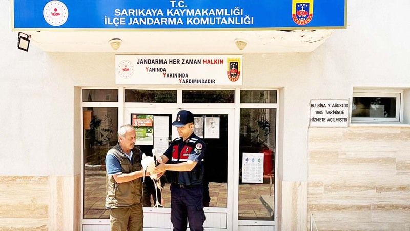 Yozgat’ta Yaralı Leyleğe Jandarmadan Yardım Eli!