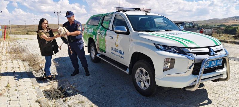 Yozgat'ta Jandarmanın bulduğu yaralı leylek tedavi altına alındı