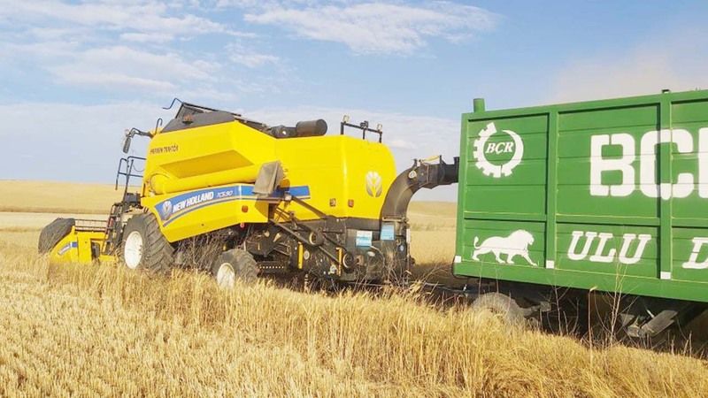 Yozgat’ta Tam 770 Bin Dekar Alanda Başladı! Tam Bire 10 Verim…