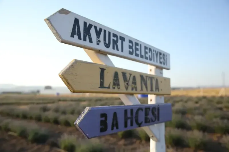 Lavanta Bahçesi ziyarete açıldı