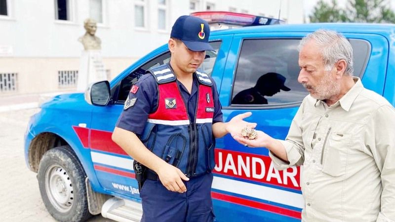 Yozgat’ta Yaralı Halde Bulundular! Çil Kekliklerine Anında Müdahale!