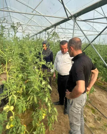 Yozgat'ın bereketi Çorum'un projesi: kadınlara iş kapısı oldu!