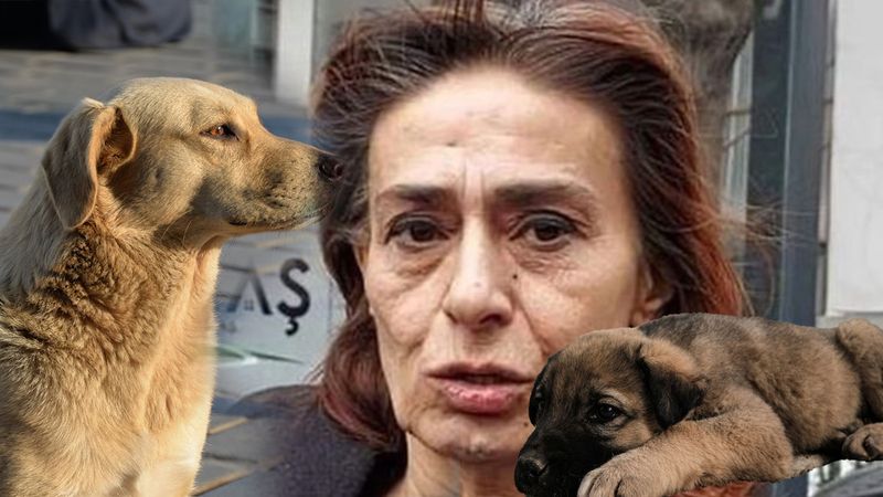 Yıldız Tilbe Sokak Köpekleri İçin Ne Dedi?