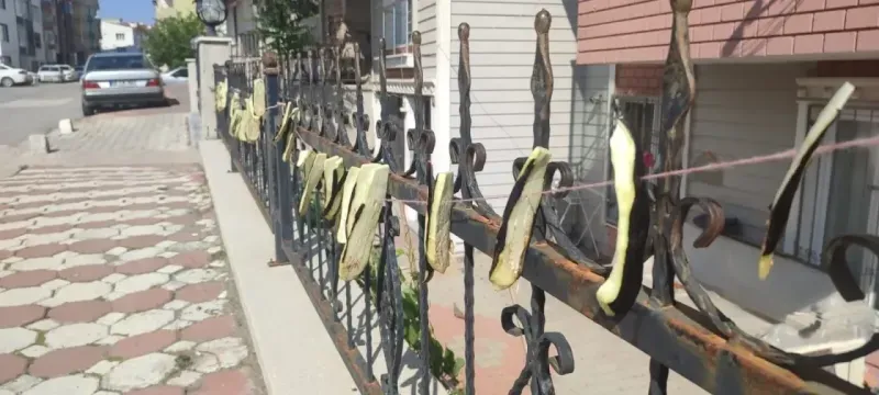 Yozgat'ta Kış Hazırlıkları Başladı: Sebze ve Meyveler Güneşe Serildi!