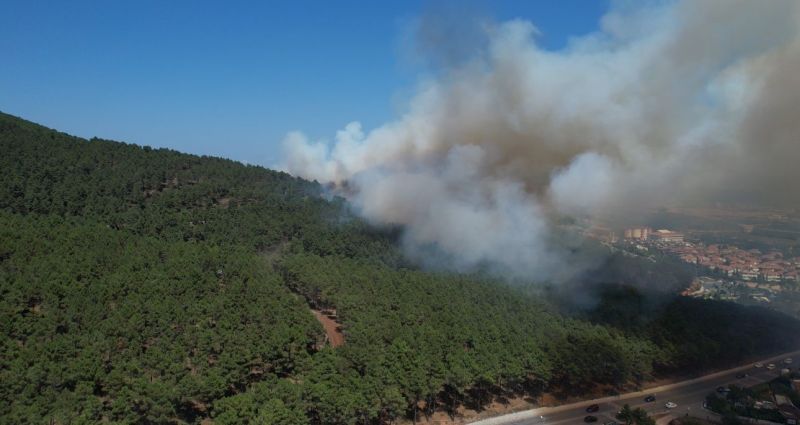 Pendik'te Aydos Ormanı'nda Çıkan Yangın Korkuttu