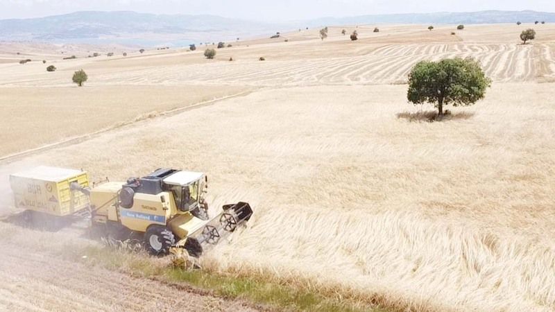 Yozgat’ta Çiftçi Emeğinin Leylek Yemeğinin Peşinde!