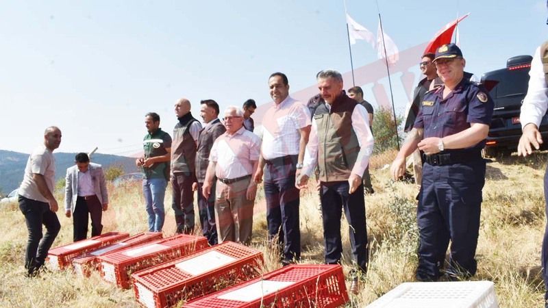 Yozgat'ta 800 Kınalı Keklik Doğaya Salındı!