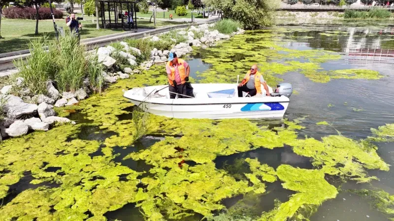 Belediye Çalışma Başlattı.. Masmavi olacak!