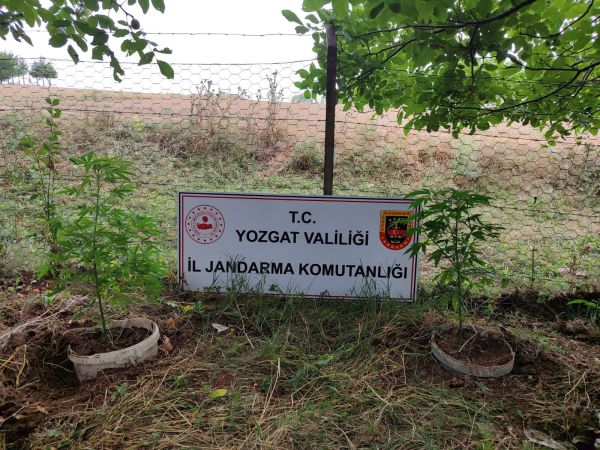 Yozgat'ta Uyuşturucu Operasyonu: 1 Şüpheli Yakalandı