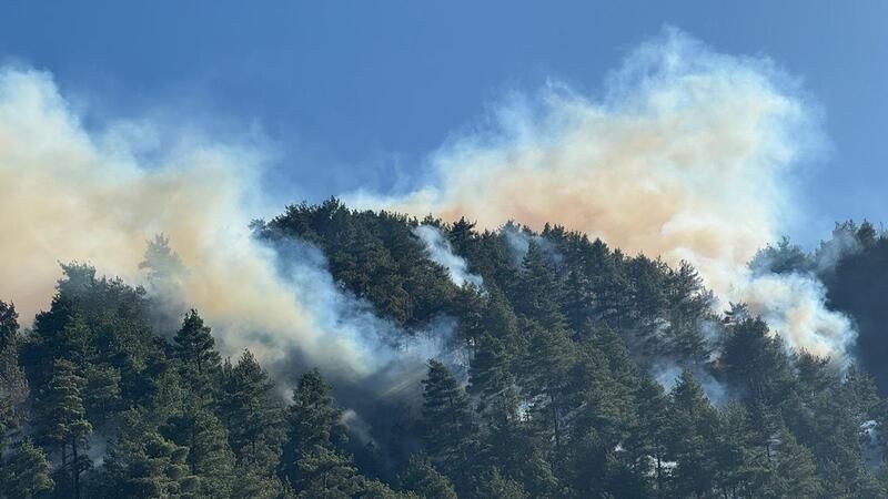 Kahramanmaraş Yangını Sebebi Belli Oldu Duyunca Şok Olacaksınız