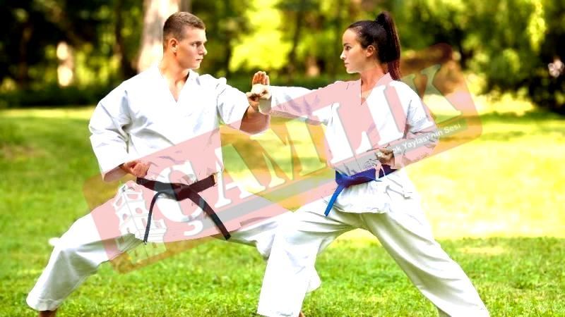 Karate Olimpiyatlarda Neden Yok?