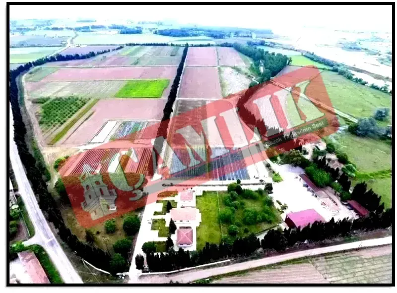 Yozgat ve Çevre İllerden 10 Milyon Fidan Üretimi