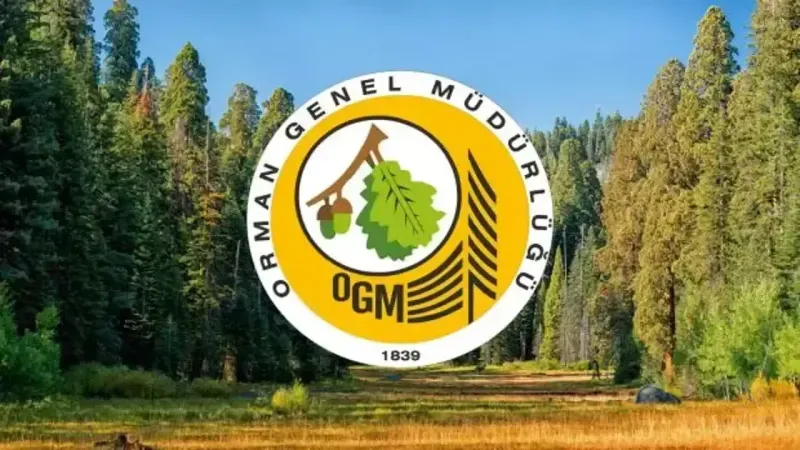 OGM'den Şok İlan: KPSS Şartsız 50 Yaş Kamu Personeli Alımı Başladı! Online Başvurular Başladı!