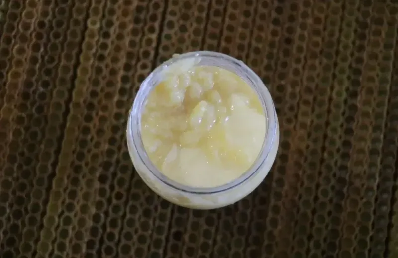 Yozgat’ın Komşusunda 100 Gramı 2.500 Lira Olan Mucize Ürün!