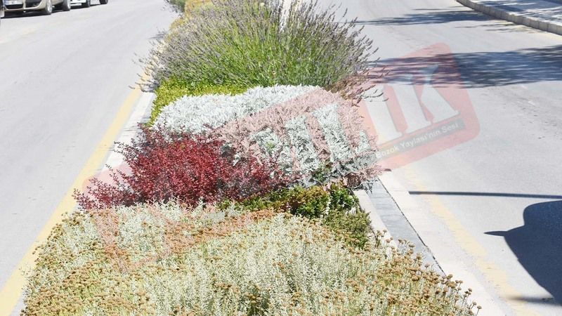 Yozgat'ın Çiçekli Sokakları: Şehrin Çehresi Değişiyor!