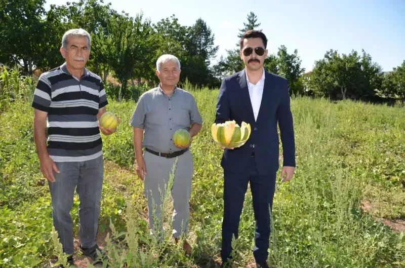 Bağrıbütün Kavunun Yozgat'taki Cennet Yurdu: Aydıncık