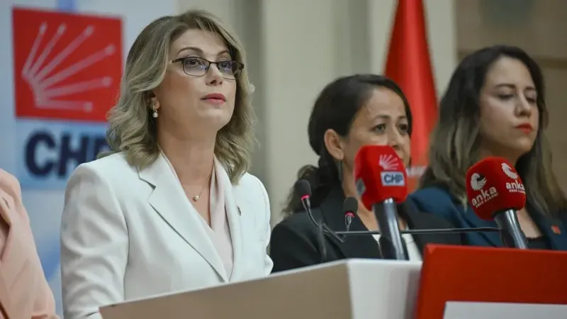 CHP Kadın Kolları Başkanı Asu Kaya Kimdir Kaç Yaşında?