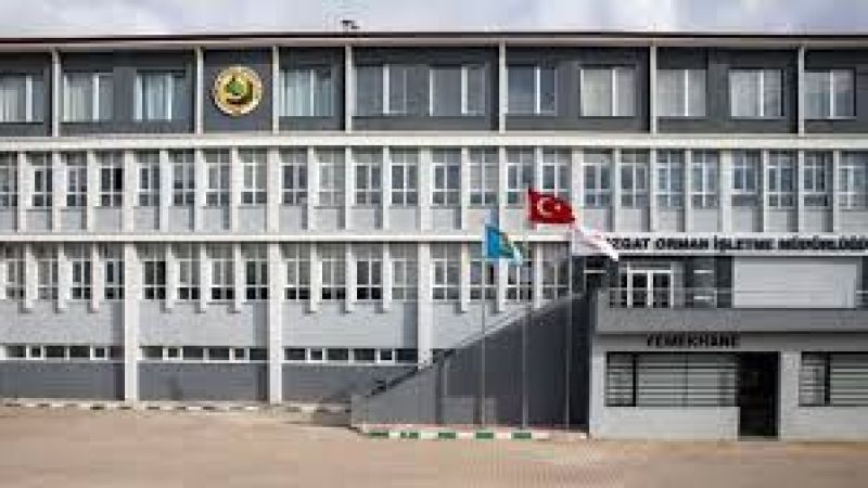 Yozgat Orman İşletme Müdürlüğü nerede bulunuyor? Yozgat’ta Orman Müdürlüğü numarası, adresi ve konum bilgileri nedir?