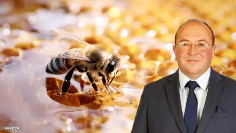 Çayıralan yine çok ballı: iki gün boyunca yok yok! Anadolu'nun en lezzetli buluşmasına davetlisiniz