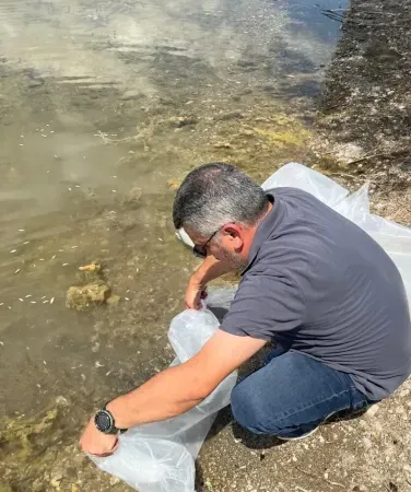 Komşuda Büyük Balık Salımı! 320 Bin Yavru Balık Bölgeye Büyük Katkı Sağlayacak!