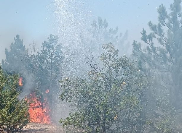 Ciğerlerimiz Yanıyor! Yozgat, Manisa, İzmir ve Hatay'da orman yangınları