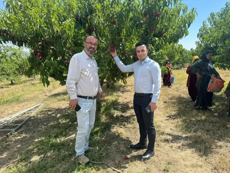 Türkiye'nin En Büyük Meyve Bahçesi Yozgat'ta! İşte 5 Bin 640 Dekar Alandaki Dev Proje!