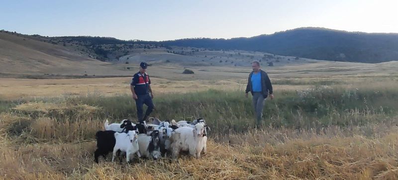 Yozgat Jandarması vatandaşın derdine derman oldu